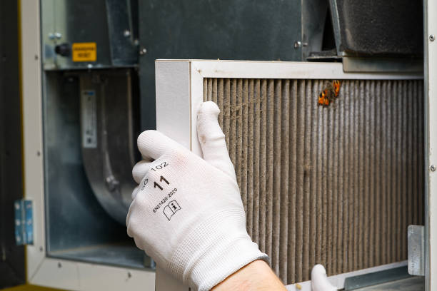 Best Affordable Air Duct Cleaning  in Leipsic, OH